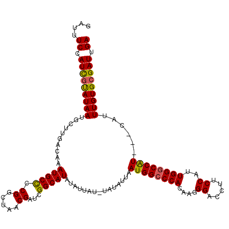 secondary structure