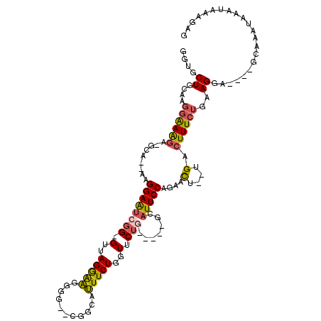 secondary structure