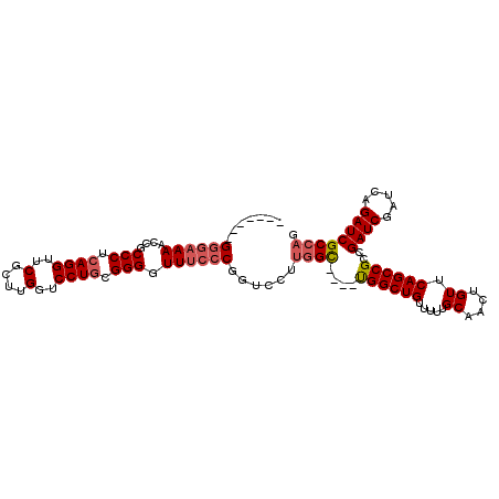 secondary structure