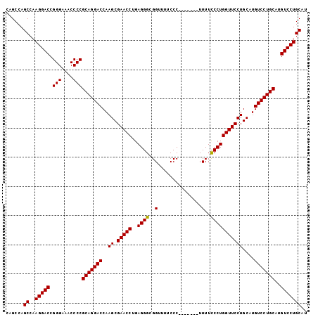 dotplot