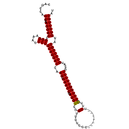 secondary structure