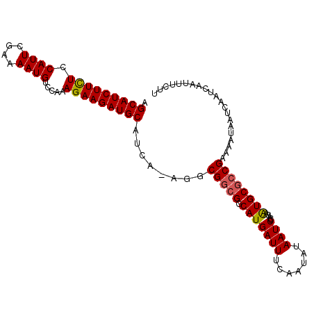 secondary structure