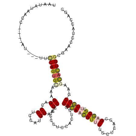 secondary structure