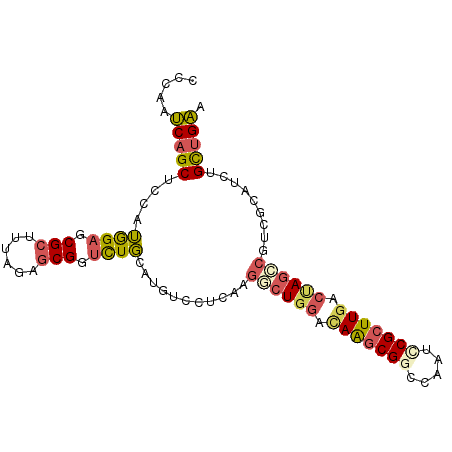 secondary structure