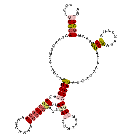 secondary structure