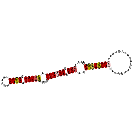 secondary structure