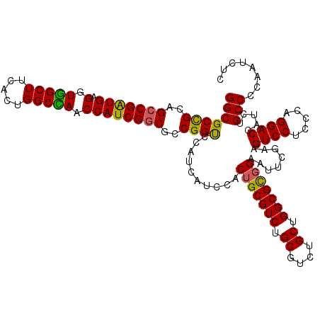 secondary structure