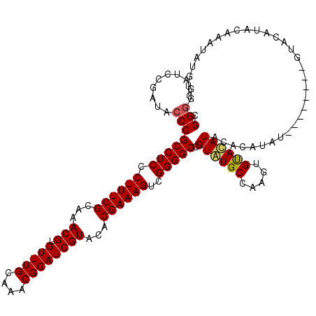 secondary structure