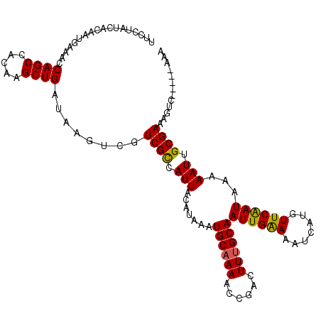 secondary structure