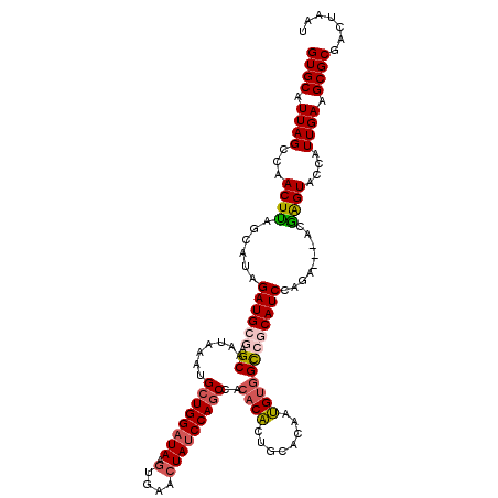 secondary structure