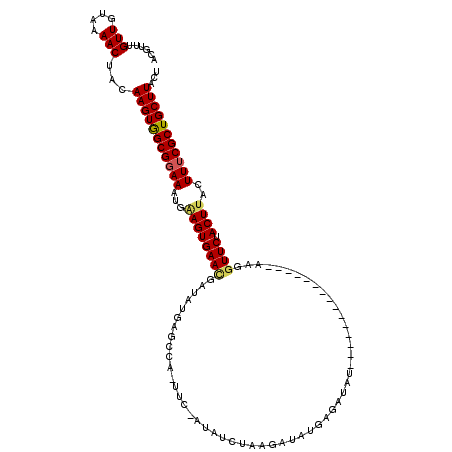 secondary structure