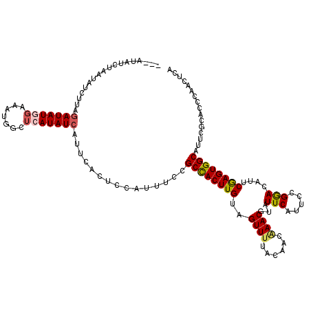 secondary structure