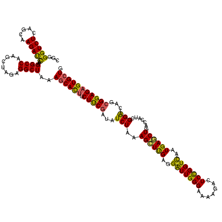 secondary structure