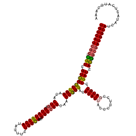secondary structure