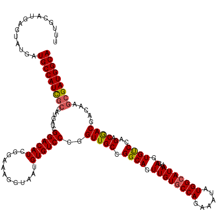 secondary structure