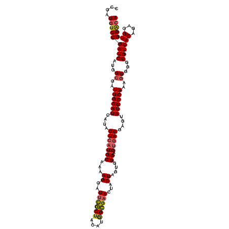 secondary structure