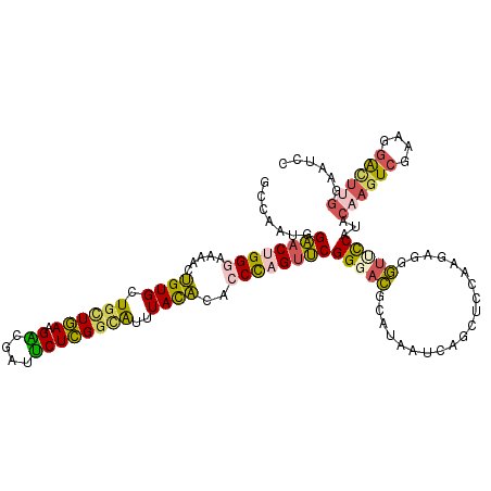 secondary structure