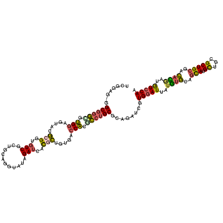 secondary structure