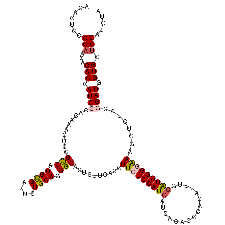 secondary structure
