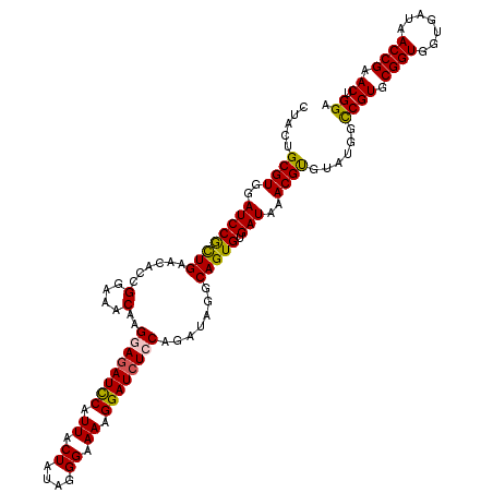 secondary structure