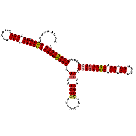 secondary structure