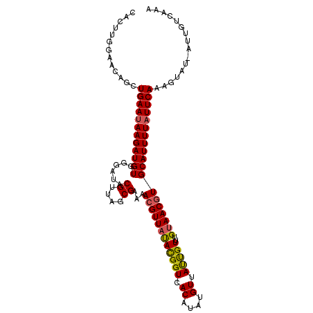 secondary structure