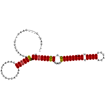 secondary structure