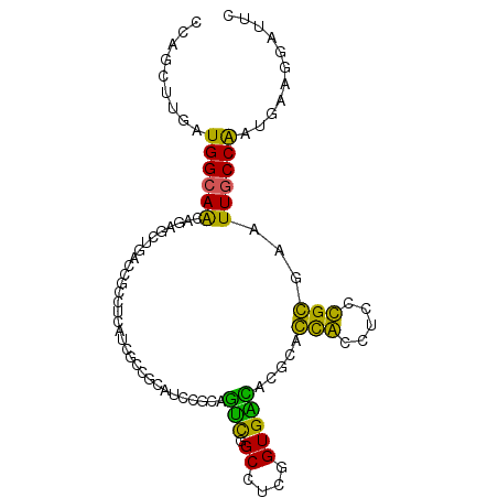 secondary structure