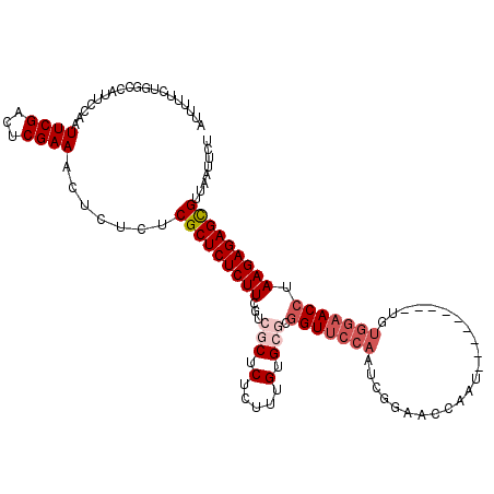 secondary structure