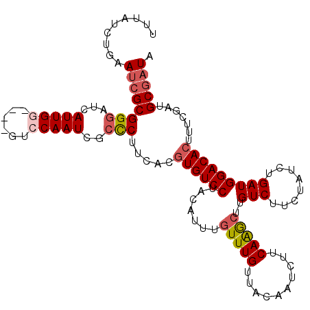 secondary structure