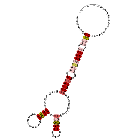 secondary structure