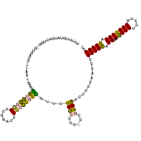 secondary structure
