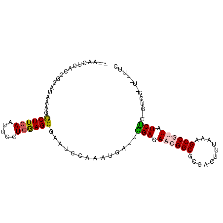 secondary structure