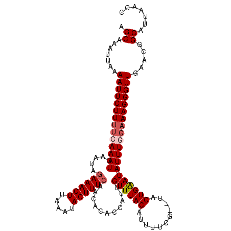 secondary structure