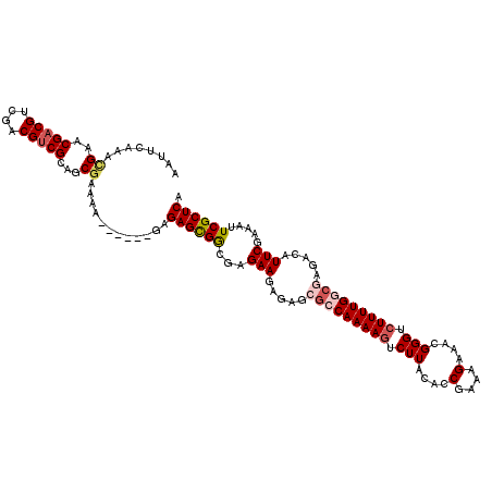 secondary structure