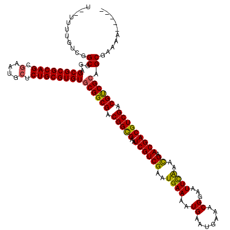 secondary structure