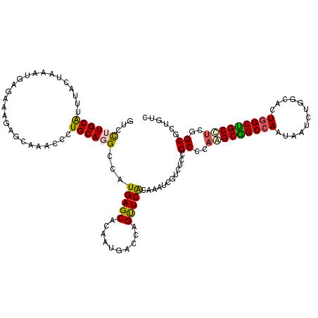 secondary structure