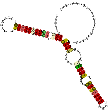 secondary structure