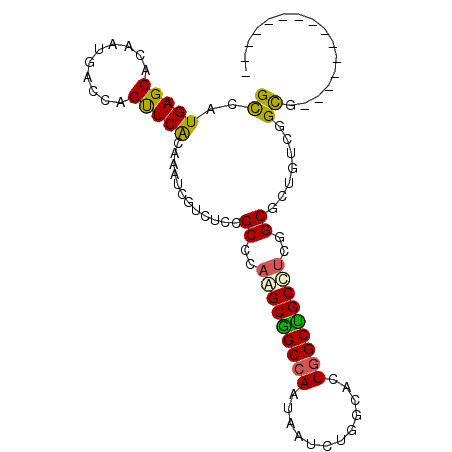 secondary structure