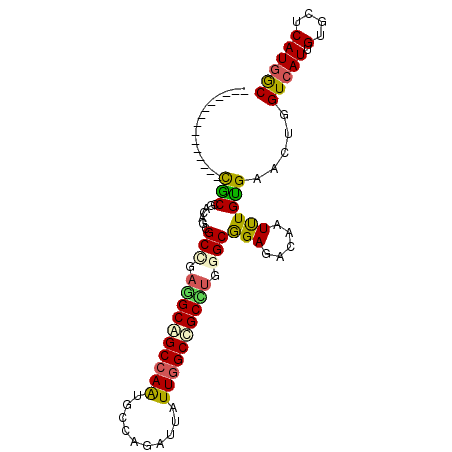 secondary structure