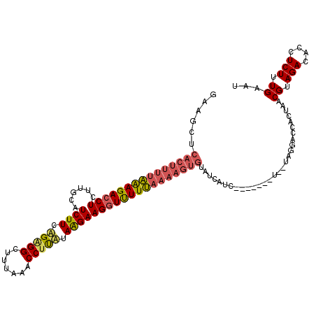 secondary structure