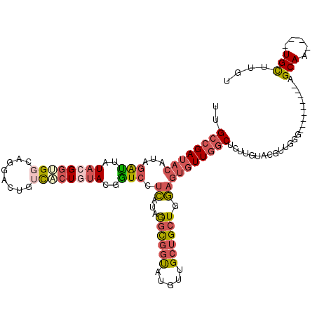 secondary structure