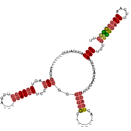 secondary structure