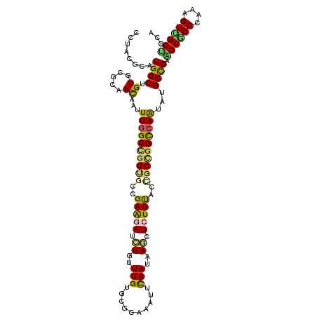 secondary structure