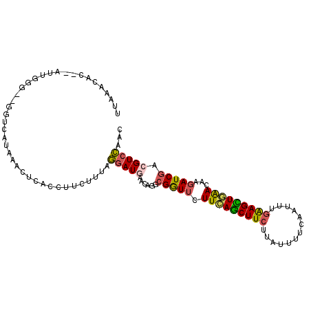 secondary structure