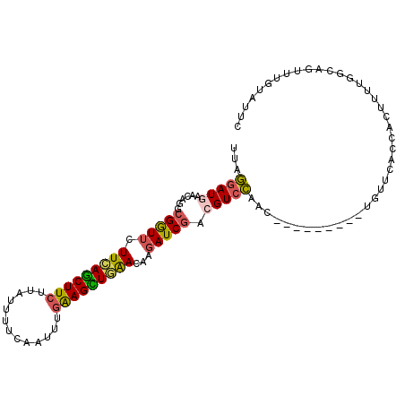 secondary structure