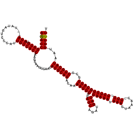 secondary structure