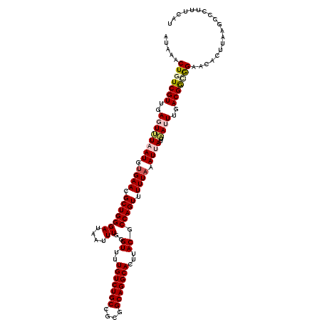 secondary structure