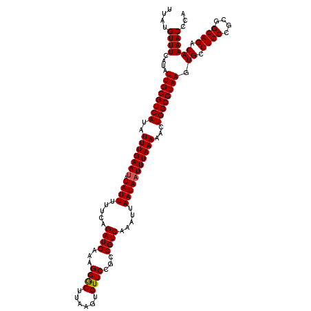 secondary structure