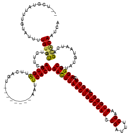 secondary structure